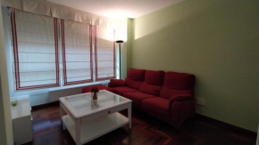 Bonito apartamento en pleno centro VUT-PO-7494